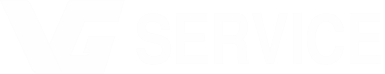 VGSERVICE